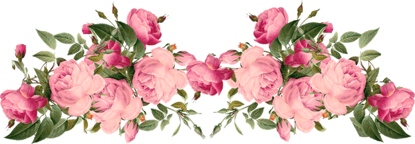 Light Pink Flower Border PNG