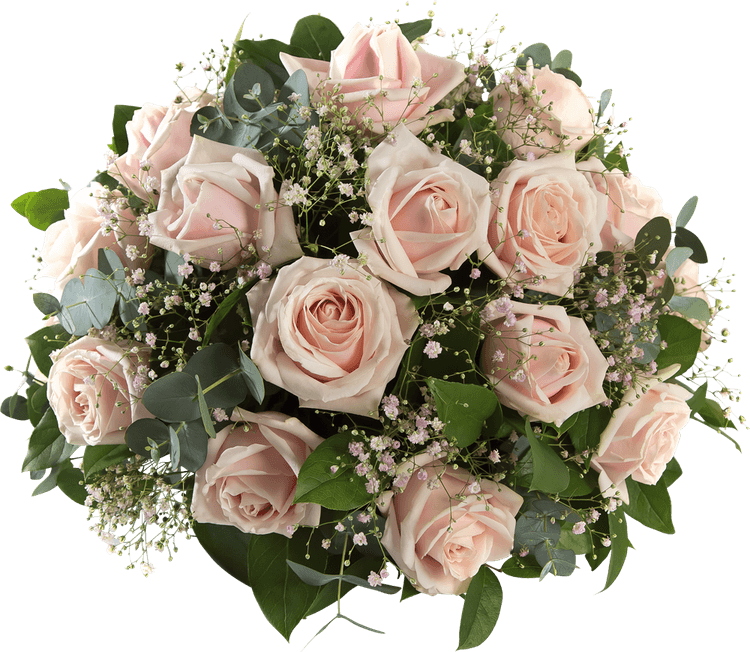 Babys Breath Flower PNG