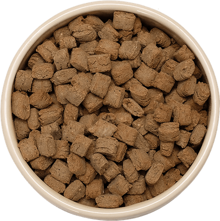 Dog Food PNG