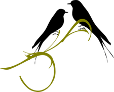 Love Birds PNG