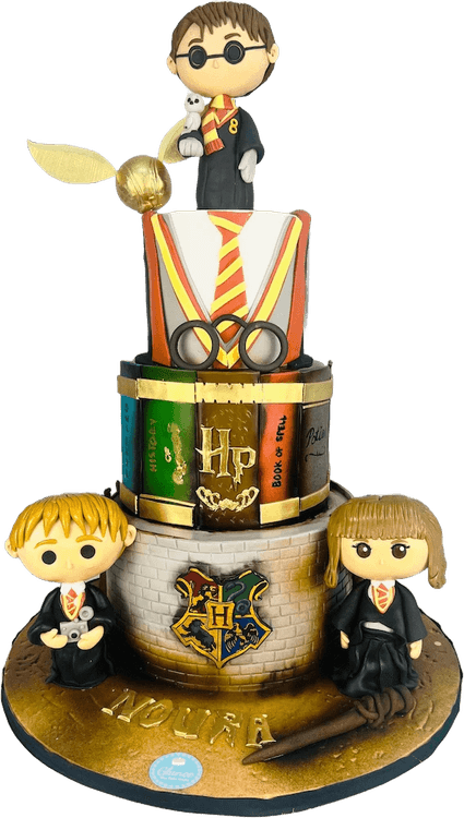 Harry Potter Birthday Cake PNG