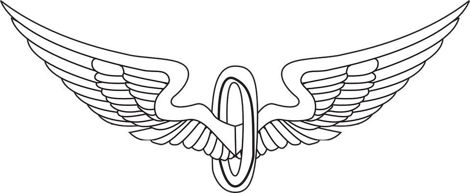 Bird Wings PNG