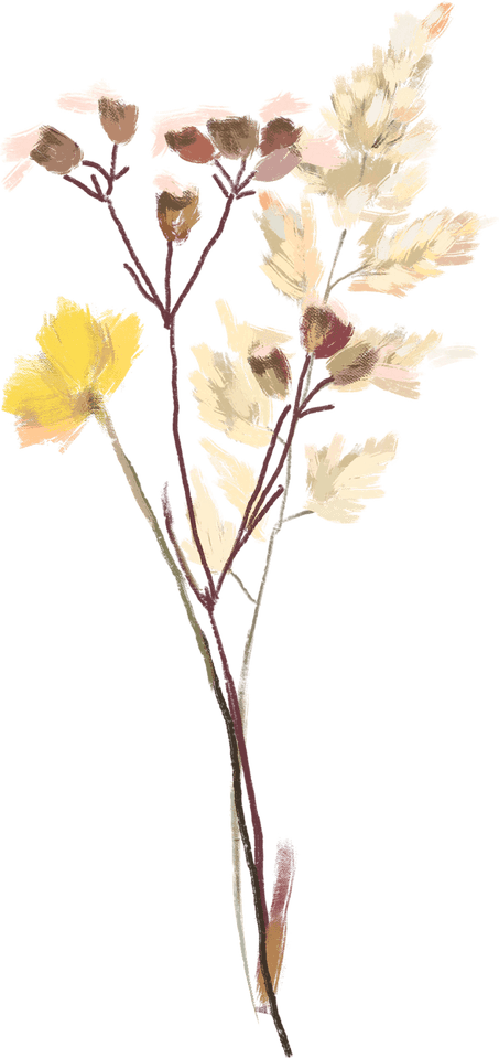 Dry Flower PNG