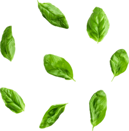 Basil PNG