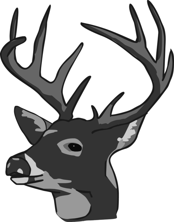 Deer Head PNG