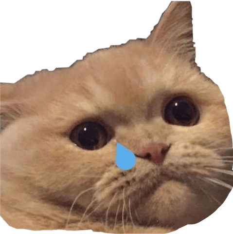 Sad Cat Memes PNG