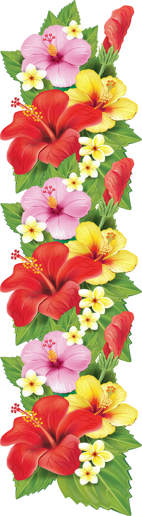 Tropical Border PNG