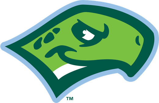 Daytona Tortugas PNG