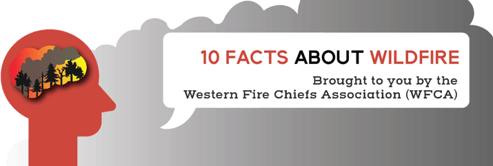 Interesting Facts About PNG