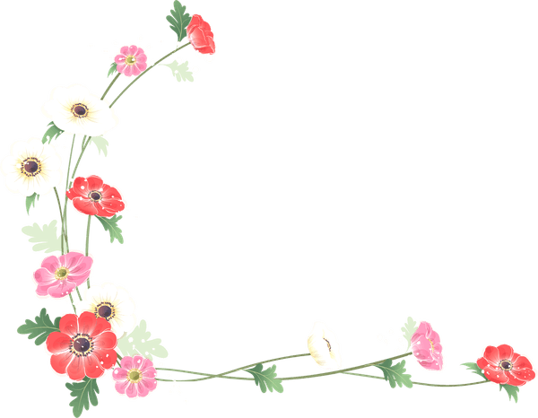 Border Frame PNG