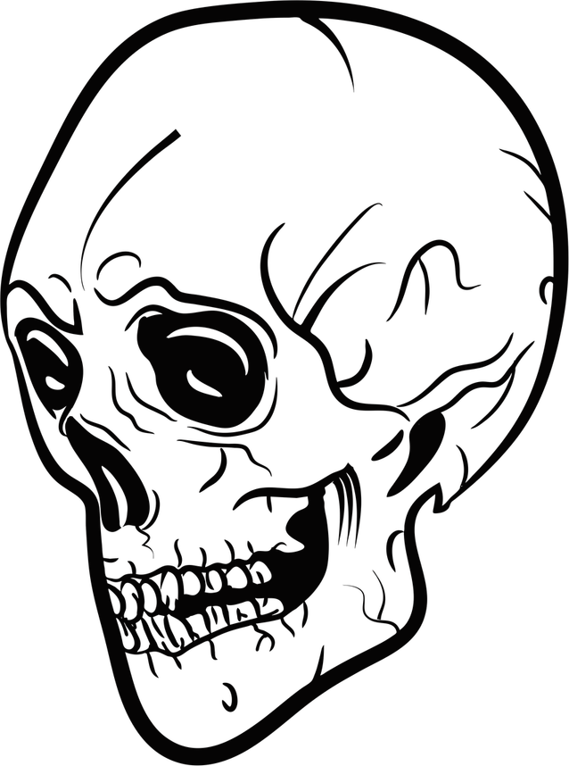 Skull Drawing PNG