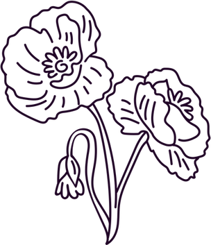 Amaryllis Flower PNG