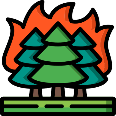 Forestry PNG
