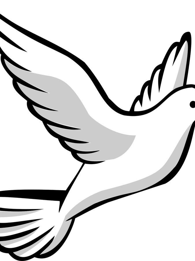 Bird Flying PNG