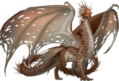 Ancient Copper Dragon PNG