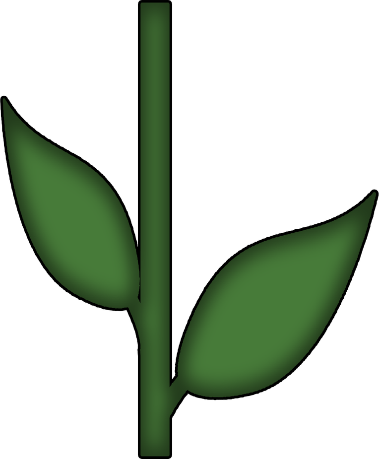 Stem PNG