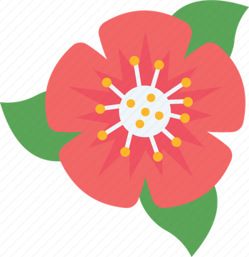 Spring Flower PNG