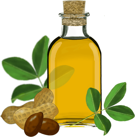 Sunflower Oil PNG