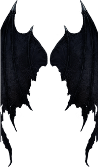 Devil Wings PNG