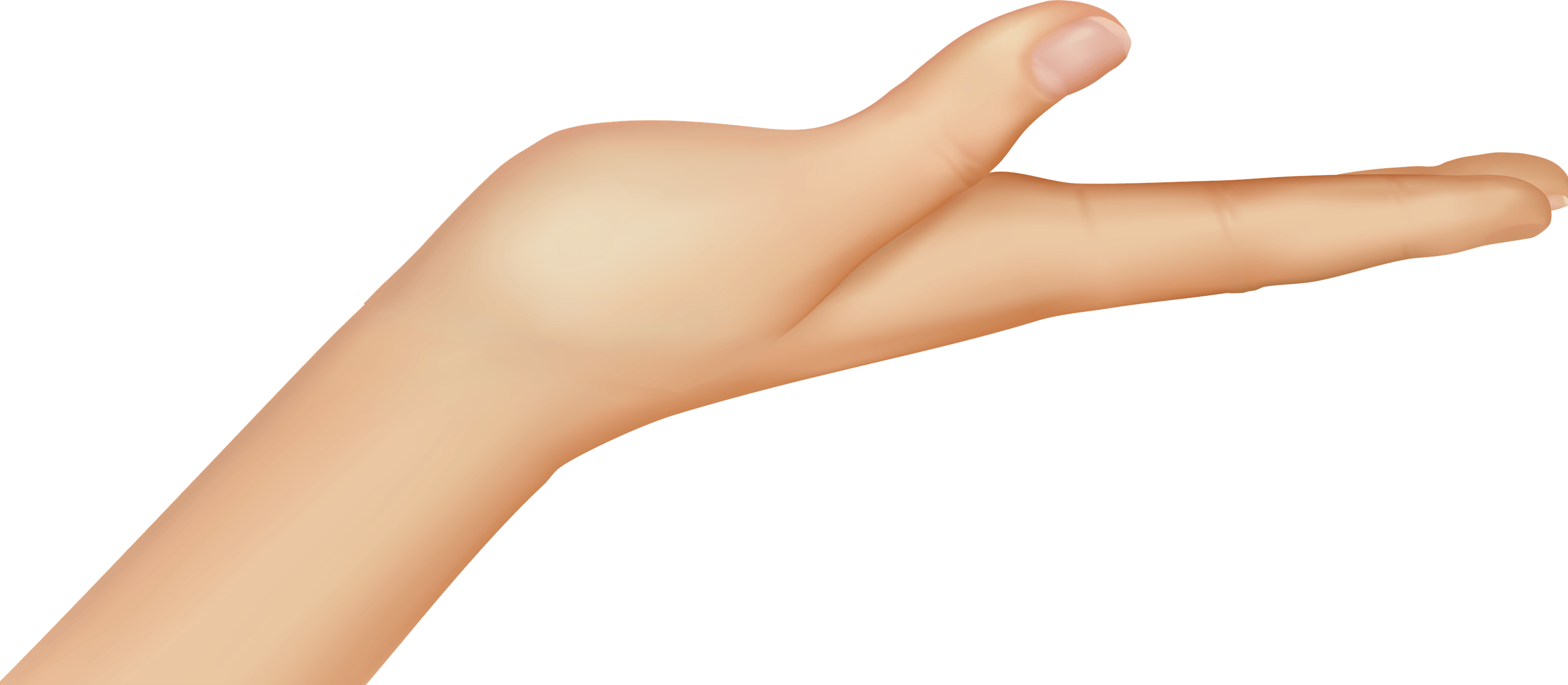 Female Hand PNG