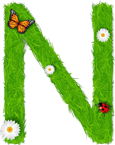 N Letter Alphabet PNG