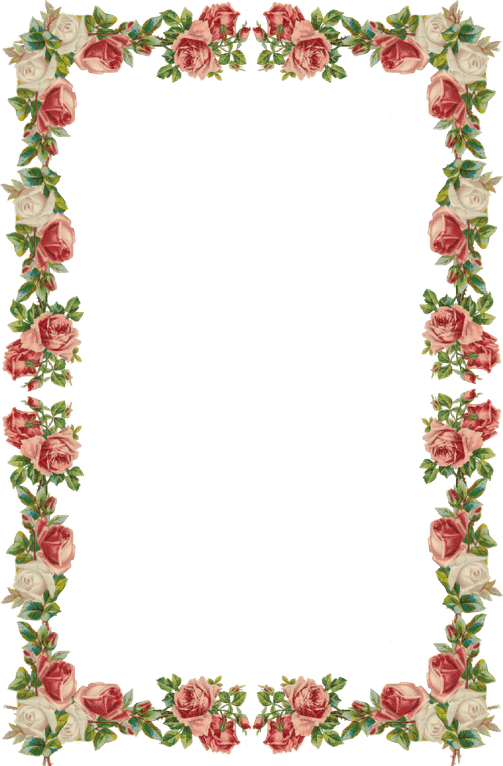 Rose Frame PNG