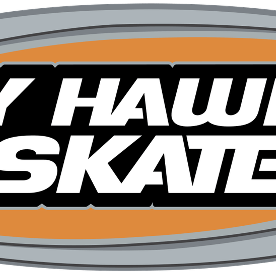 Tony Hawks Pro Skater 4 Logo PNG