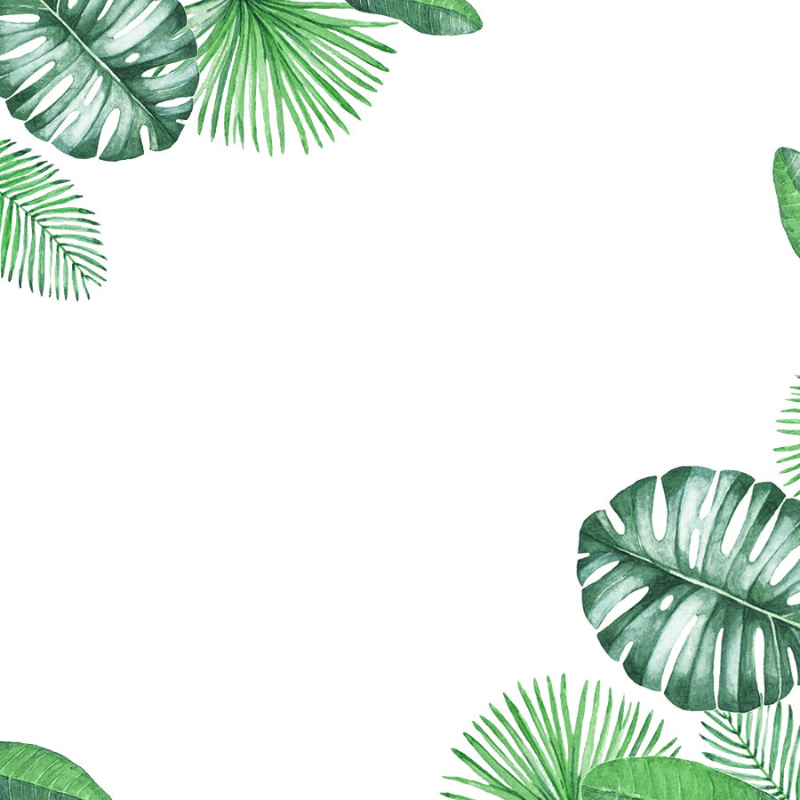 Leaves Border PNG