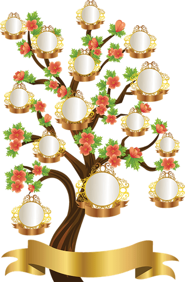 Family Tree PNG