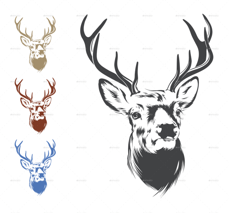 Deer Head PNG