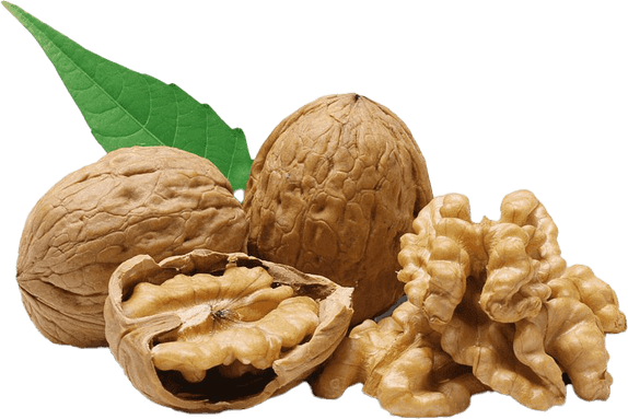 Walnut Oil PNG