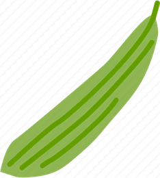 Pointed Gourd PNG