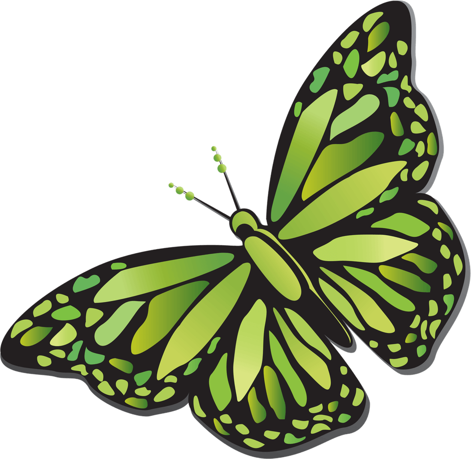 Green Butterfly PNG