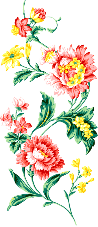 Flower Art PNG