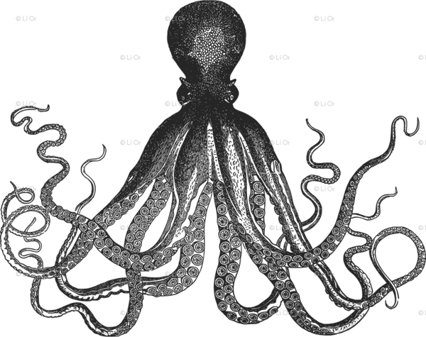 Kraken PNG