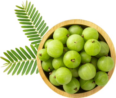 Indian Gooseberry PNG