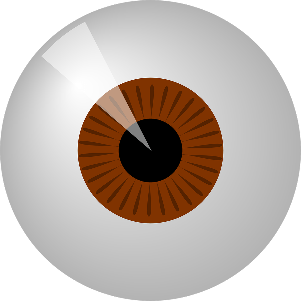 Brown Eye PNG