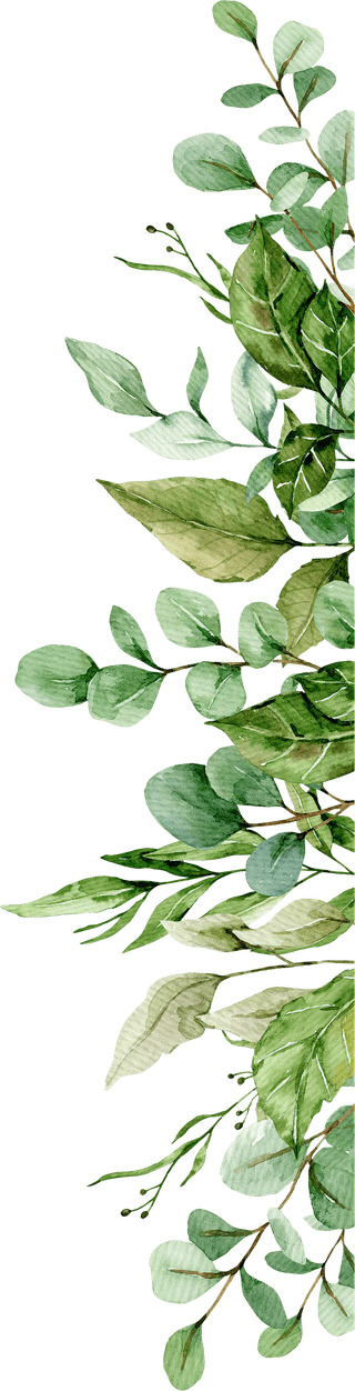 Watercolor Leaves Border PNG
