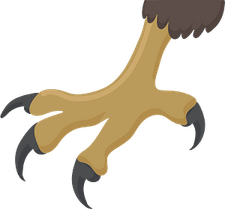 Claws PNG