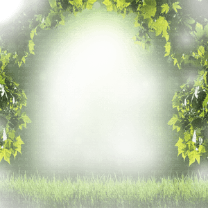 Forest Border PNG