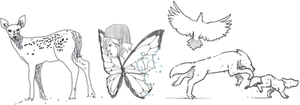 Life Is Strange Butterfly PNG