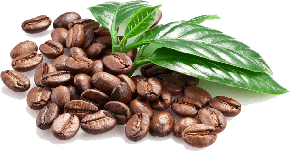 Coffee Beans PNG