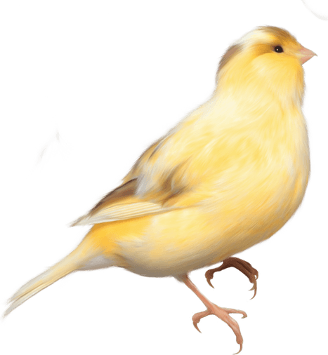 Aesthetic Theme Yellow PNG