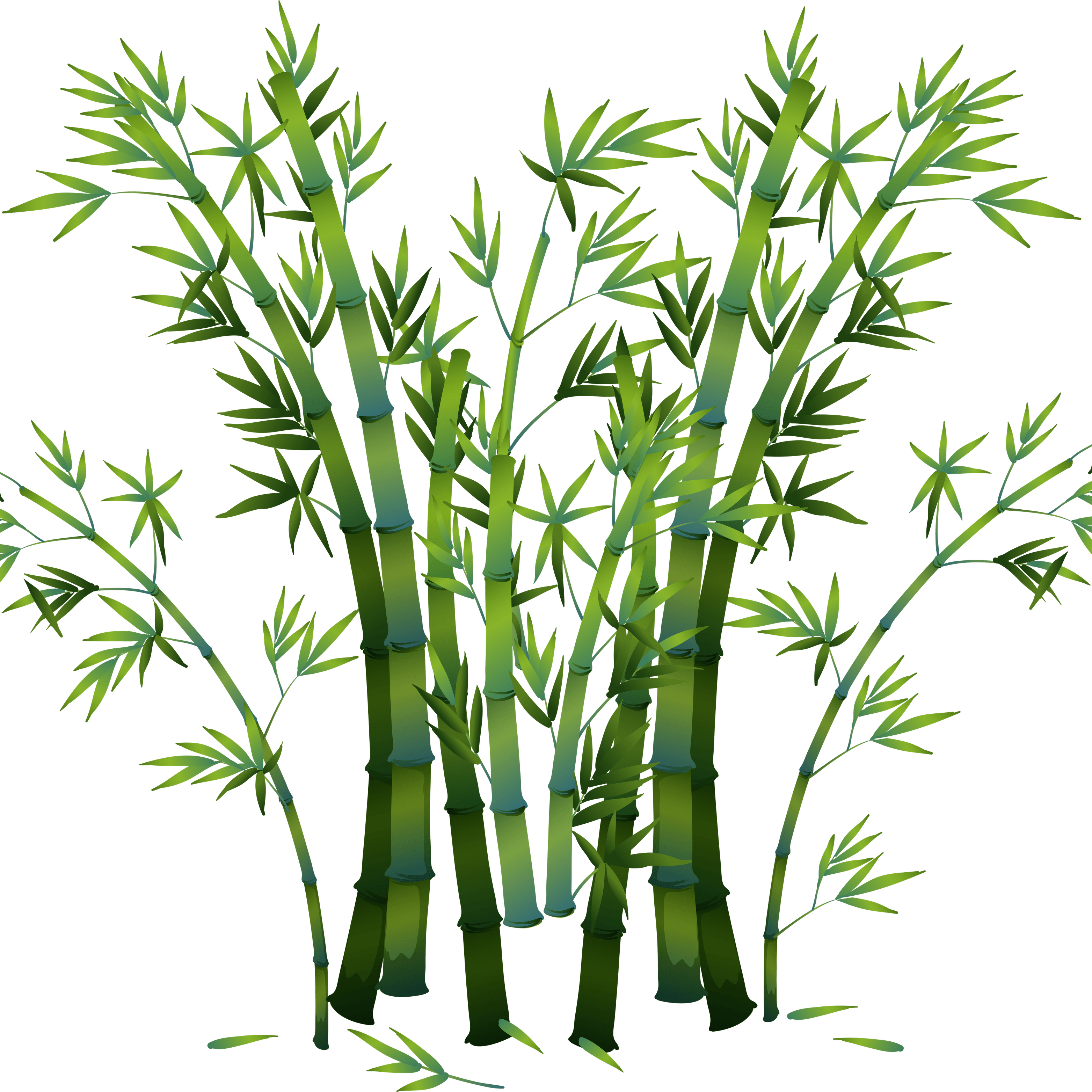 Bamboo Papercut PNG