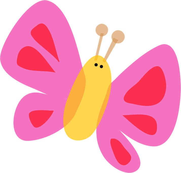 Cute Insect PNG