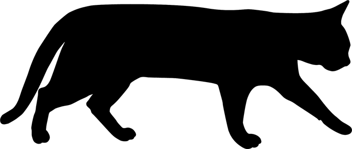 Cat Walking PNG