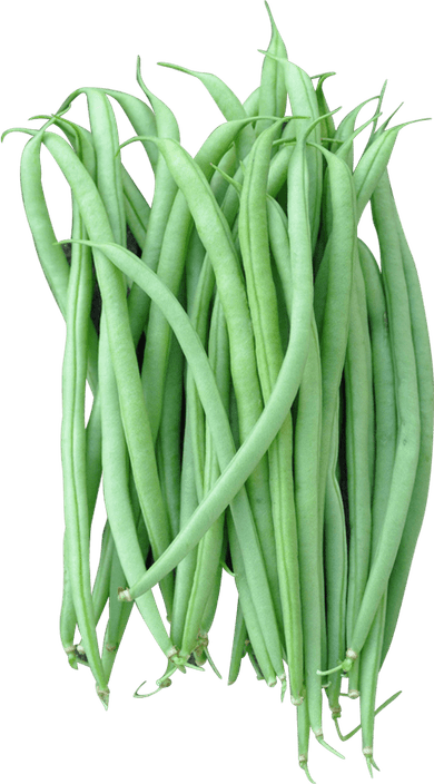 French Beans PNG