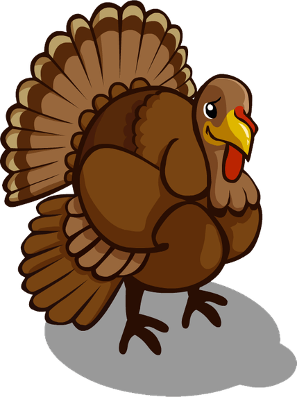 Turkeys PNG