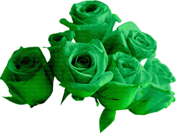 Emerald Green Flower PNG