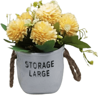 Bucket Flower PNG